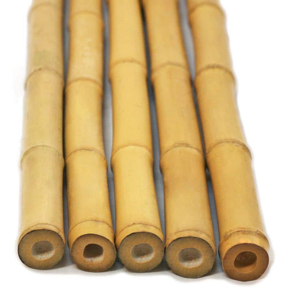 1 in. x 8 ft. Natural Bamboo Poles (25-Pack/Bundled) | Backyard Support Trellis