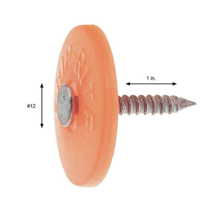 #12 X 1 In 2D Electro-Galvanized Steel Roofing Nails with Plastic Cap 1 Lb.-Pack