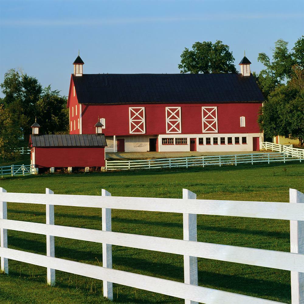 Fence Paint 5 Gallon White Exterior Barn Livestock-Safe Blistering Resistant