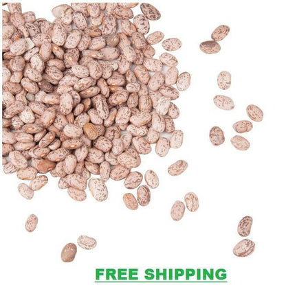 20 lb. Dried Pinto Beans Survival Emergency Restaurant Food Bulk Pantry Supply