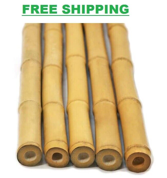 1 in. x 8 ft. Natural Bamboo Poles (25-Pack/Bundled) | Backyard Support Trellis