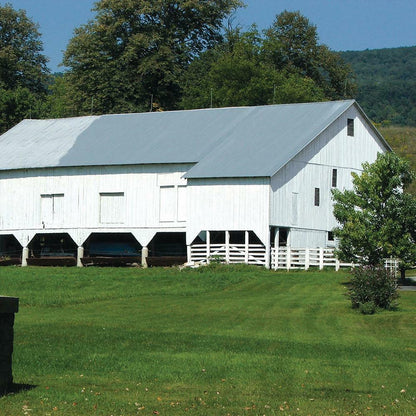 Fence Paint 5 Gallon White Exterior Barn Livestock-Safe Blistering Resistant